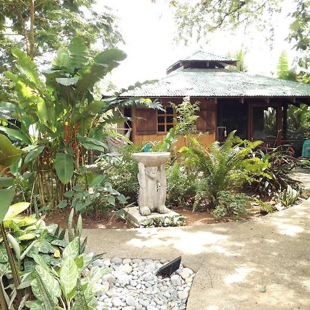 Las Brisas Del Sur Ojochal Bagian luar foto