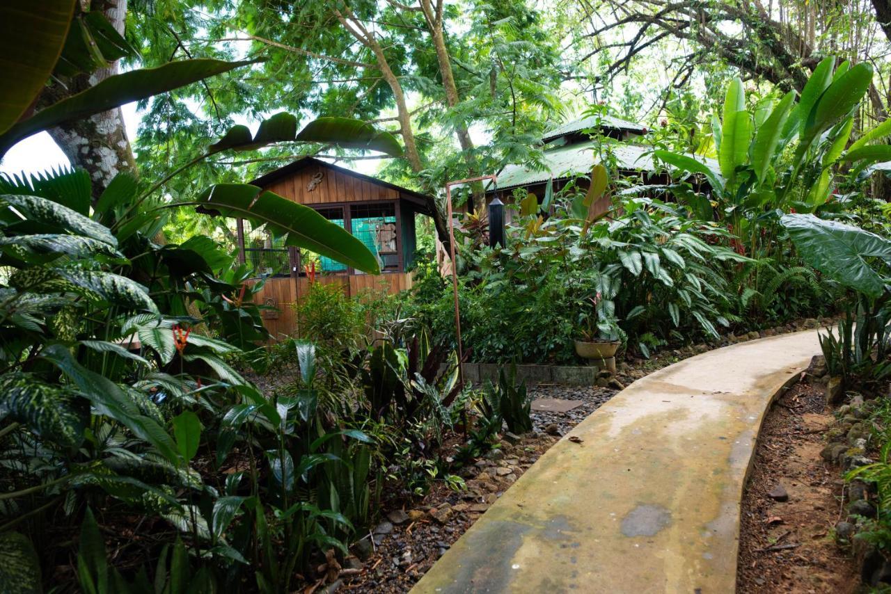 Las Brisas Del Sur Ojochal Bagian luar foto