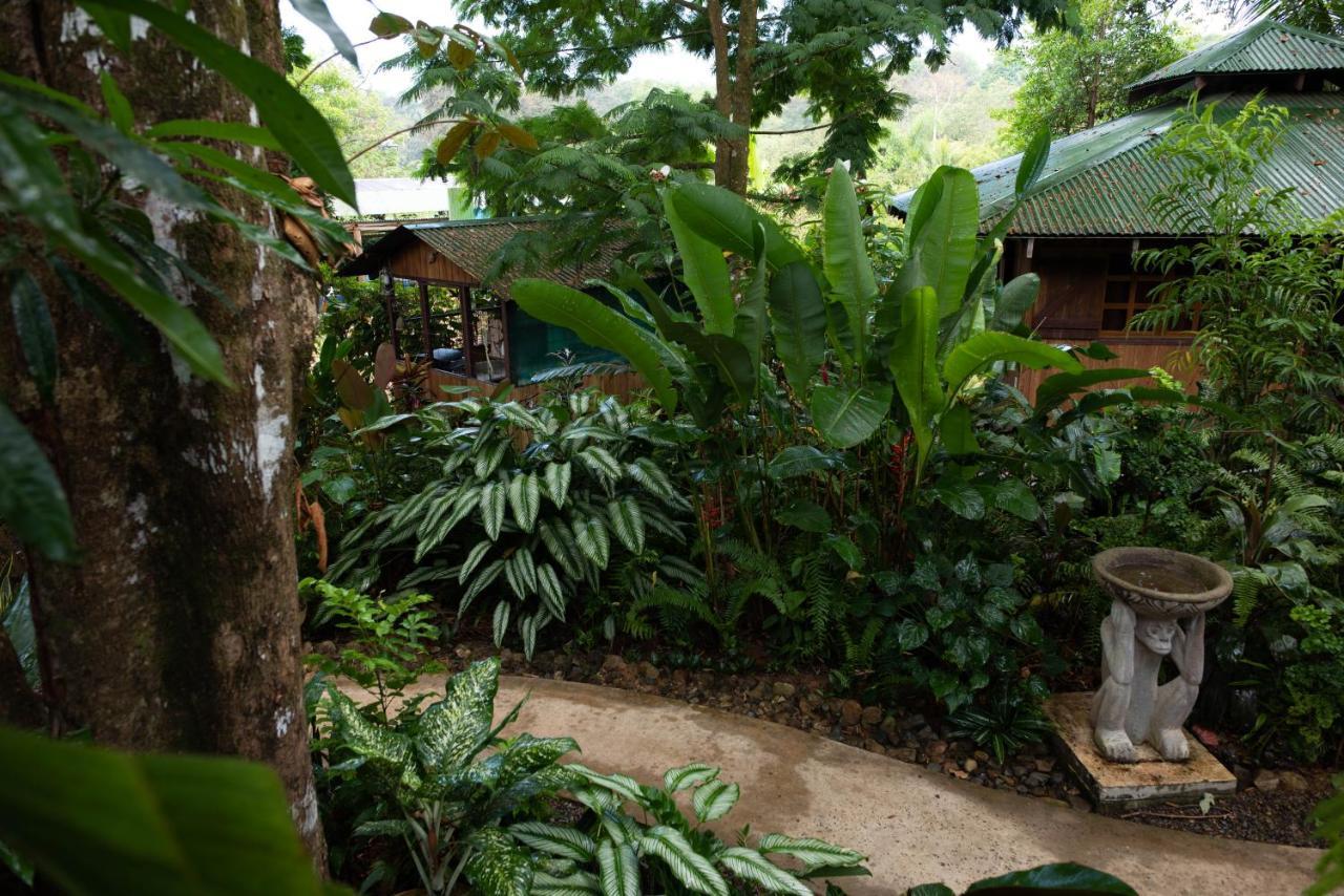 Las Brisas Del Sur Ojochal Bagian luar foto