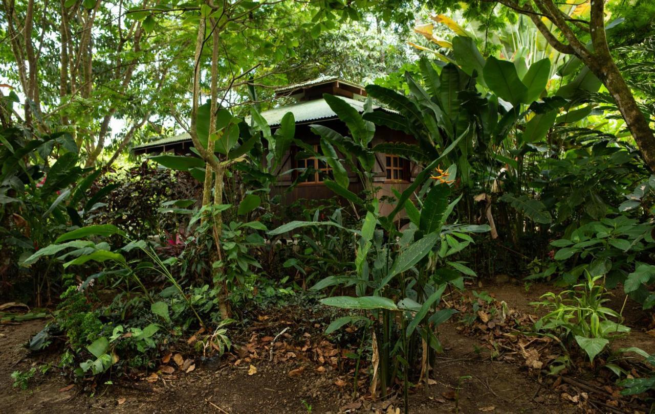 Las Brisas Del Sur Ojochal Bagian luar foto