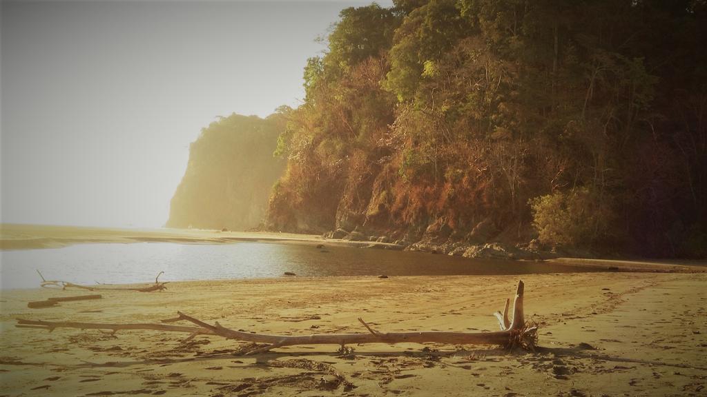 Las Brisas Del Sur Ojochal Bagian luar foto