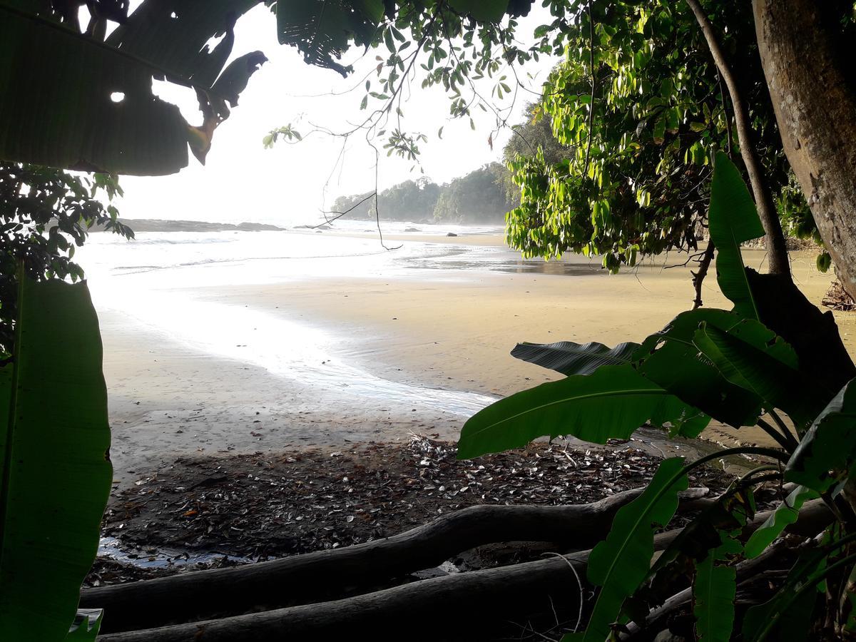 Las Brisas Del Sur Ojochal Bagian luar foto