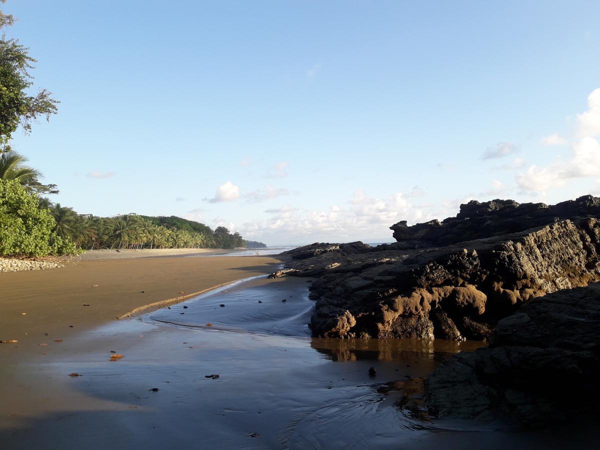Las Brisas Del Sur Ojochal Bagian luar foto