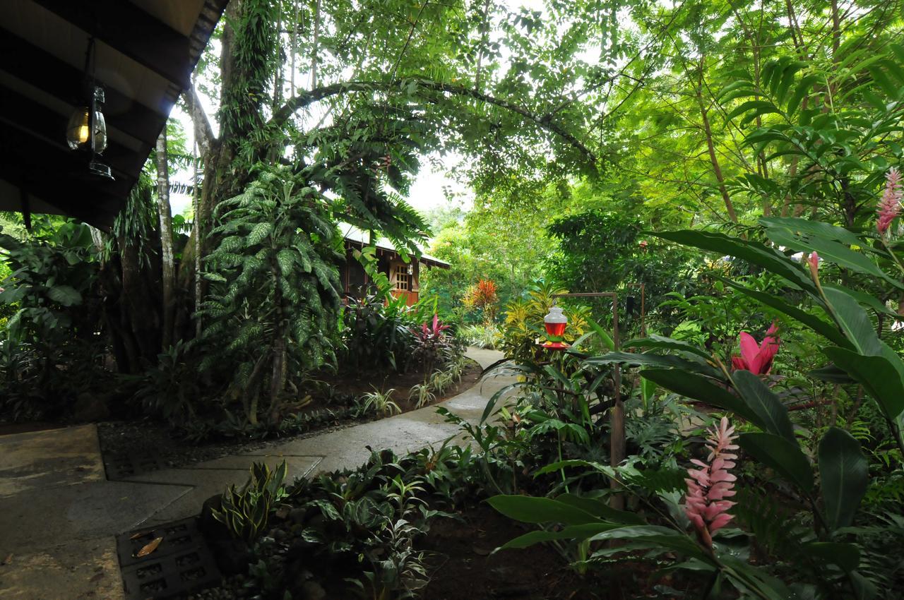 Las Brisas Del Sur Ojochal Bagian luar foto